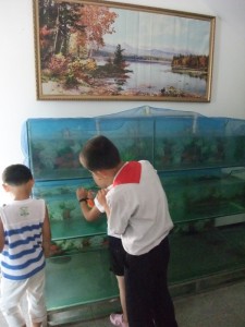 North Korea 0576